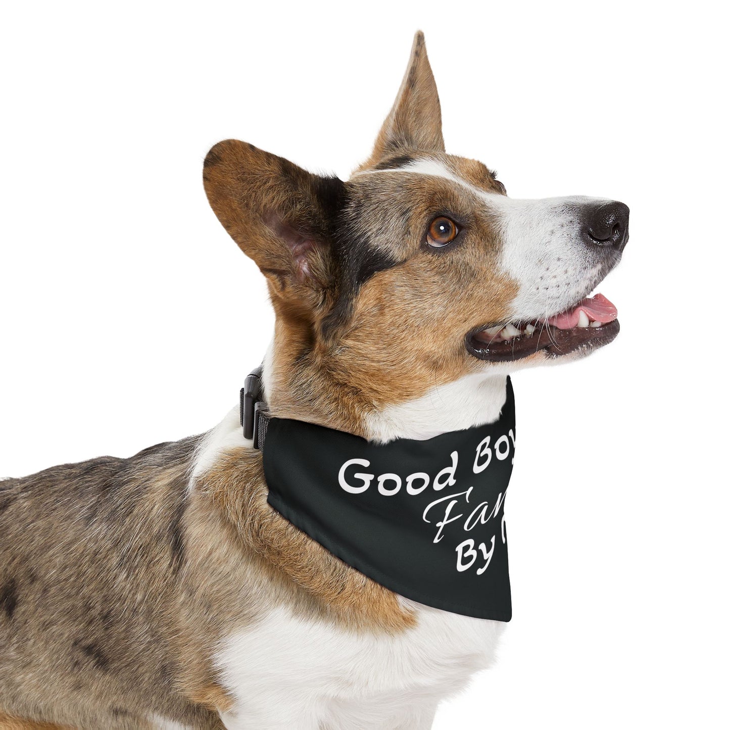 Pet Bandana Collar Famliar