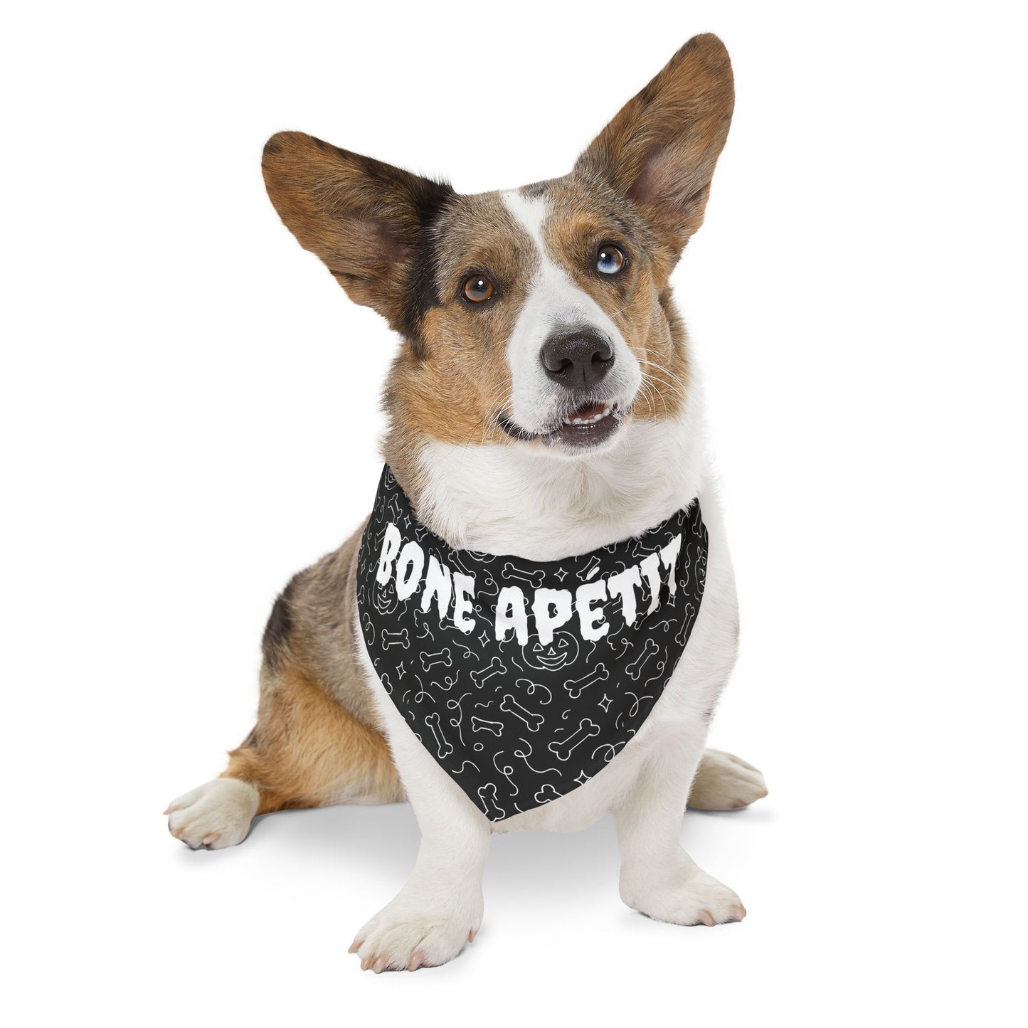 Pet Bandana Collar - Bone Appetit Dog Accessory