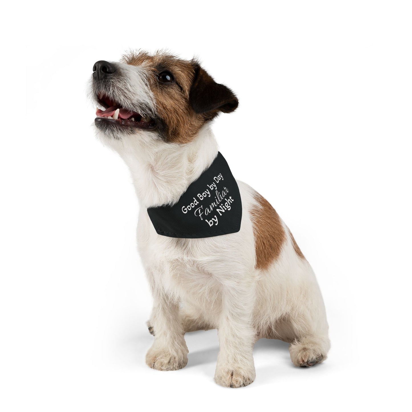 Pet Bandana Collar Famliar