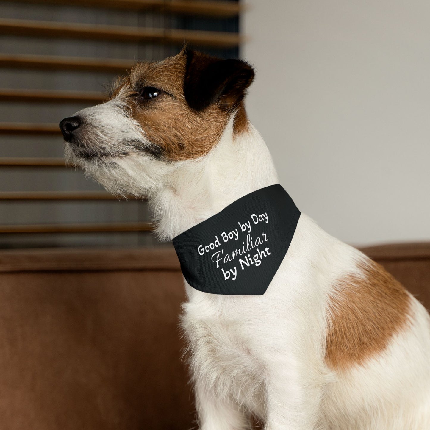 Pet Bandana Collar Famliar