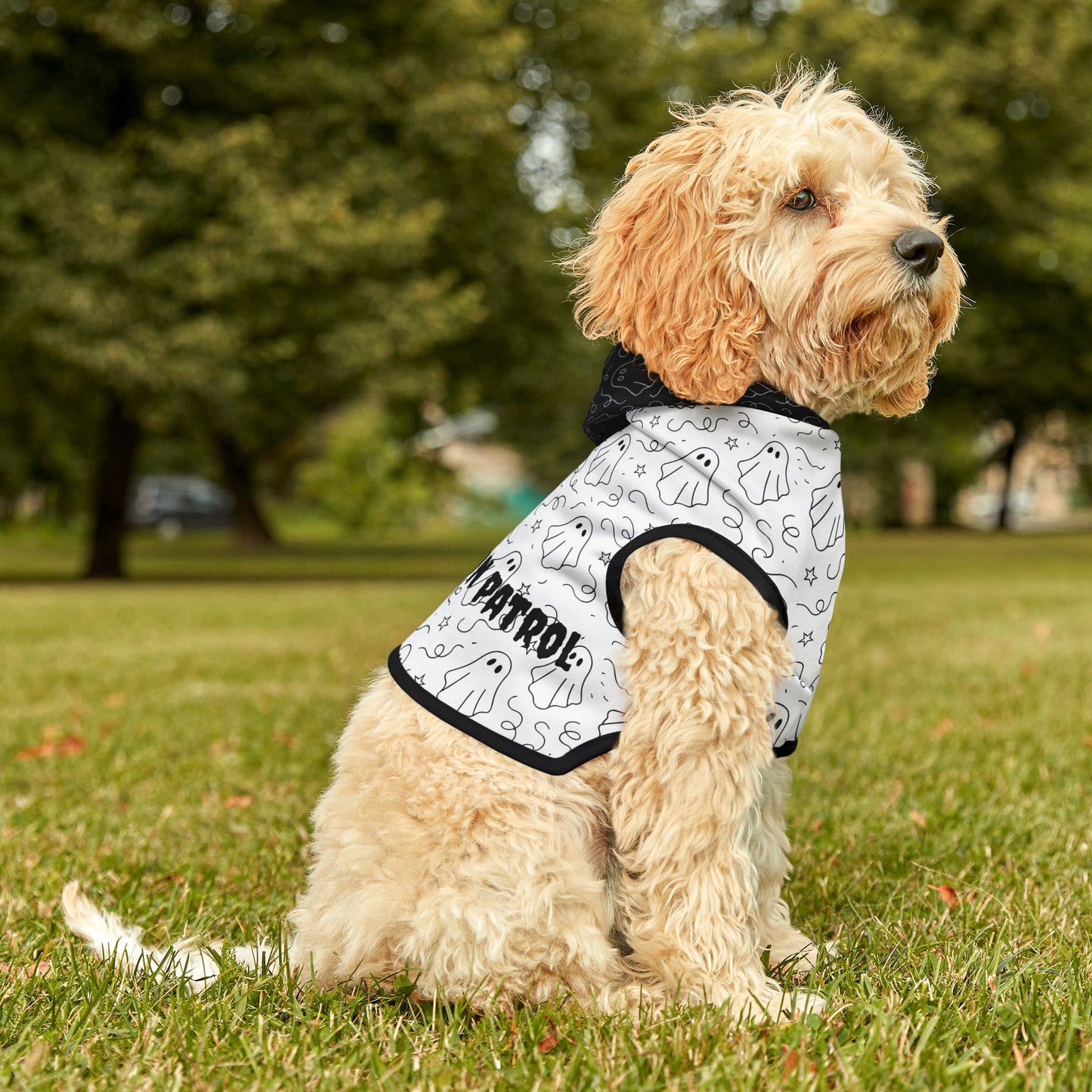Spooky Pet Hoodie for Halloween, Little Ghoul on Patrol
