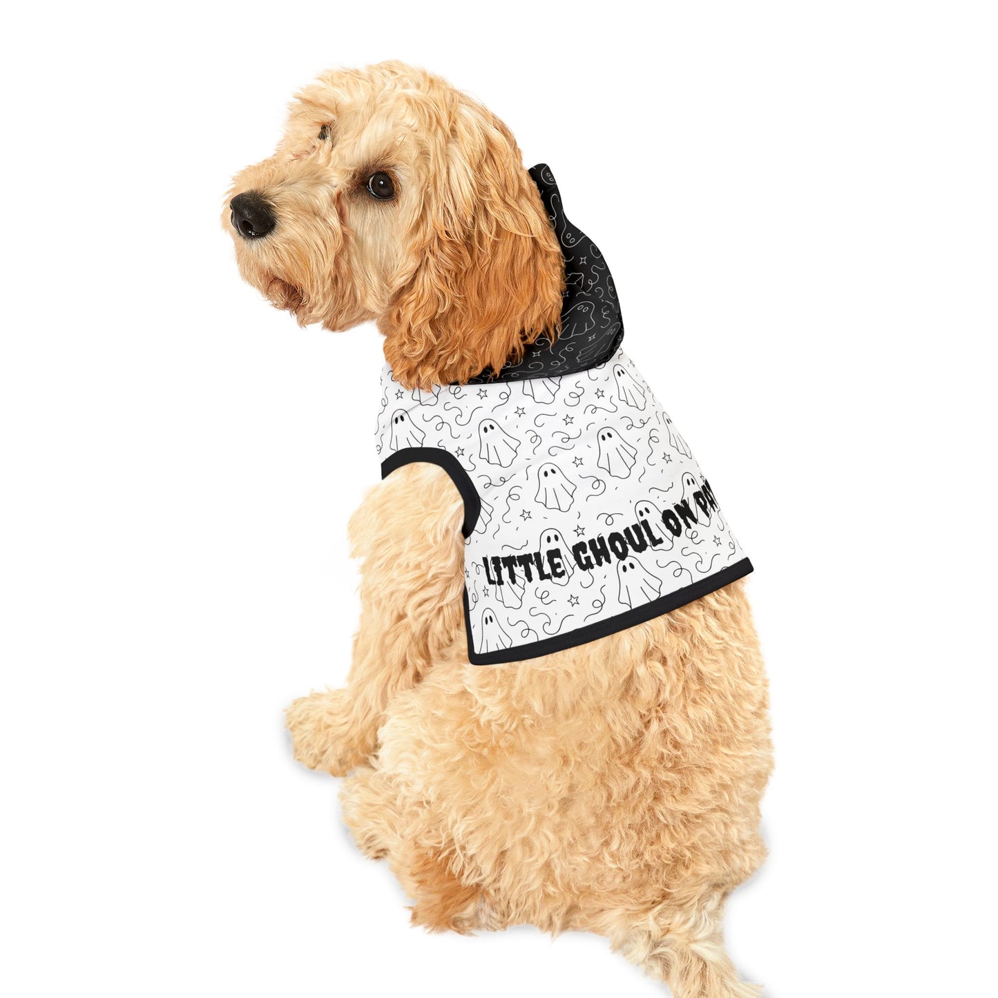 Spooky Pet Hoodie for Halloween, Little Ghoul on Patrol