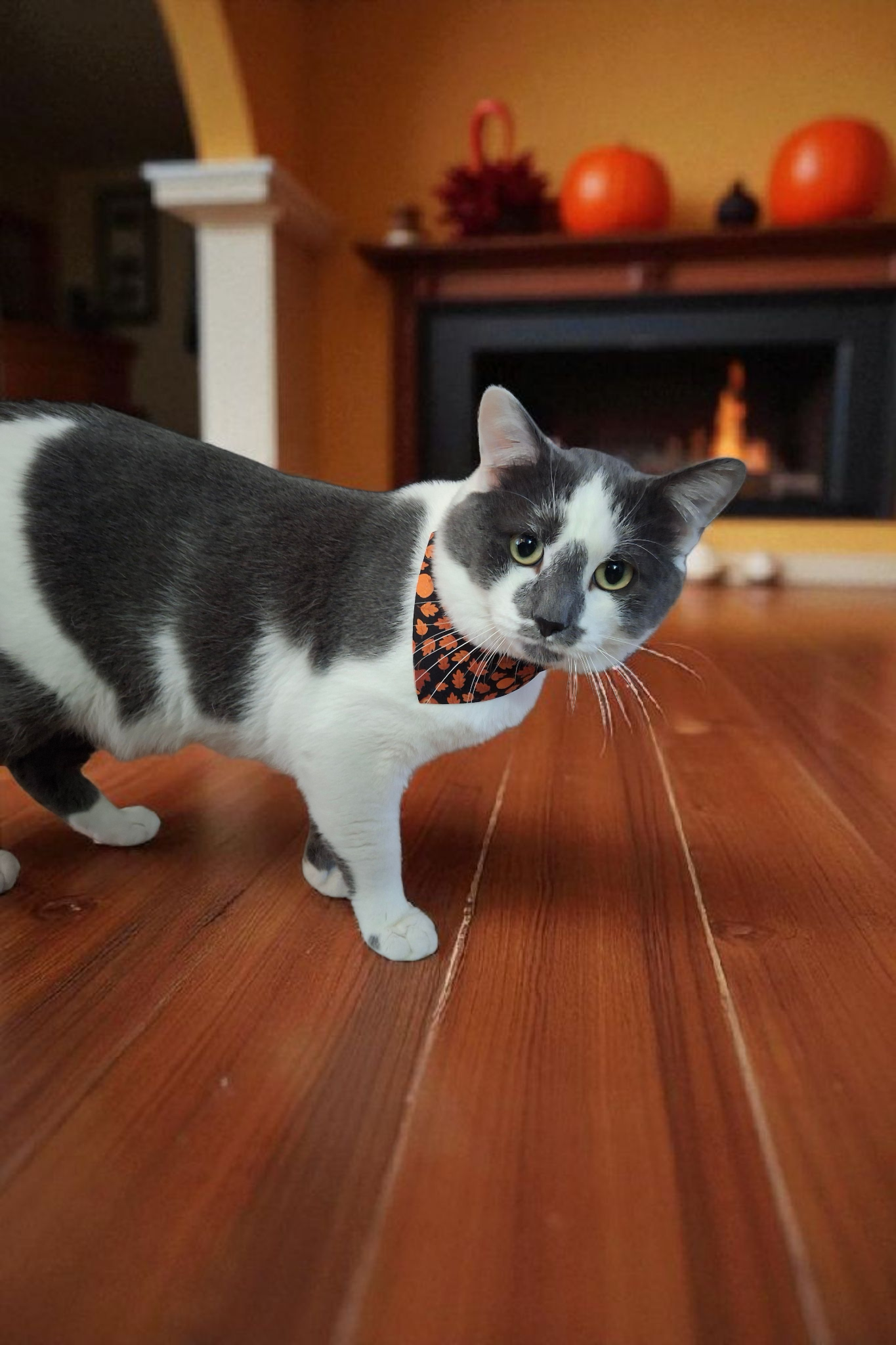 Autumn Clip-on Pet Bandana