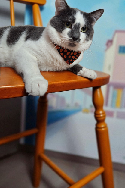 Autumn Clip-on Pet Bandana