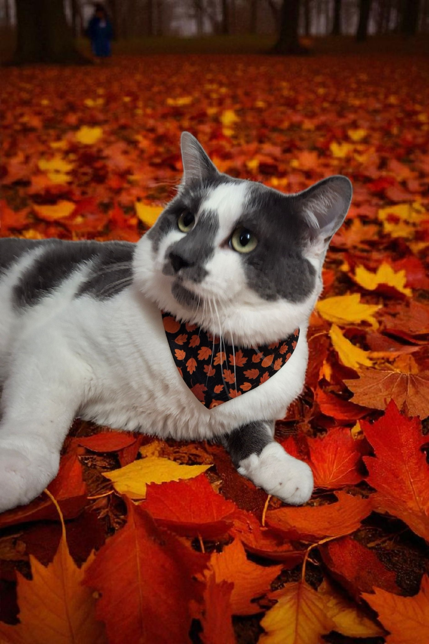 Autumn Clip-on Pet Bandana