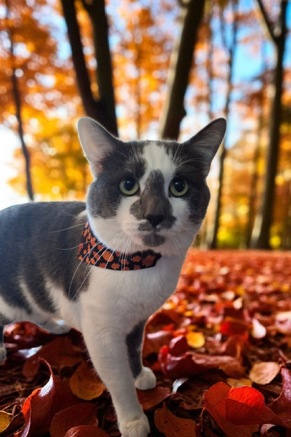 Autumn Clip-on Pet Bandana