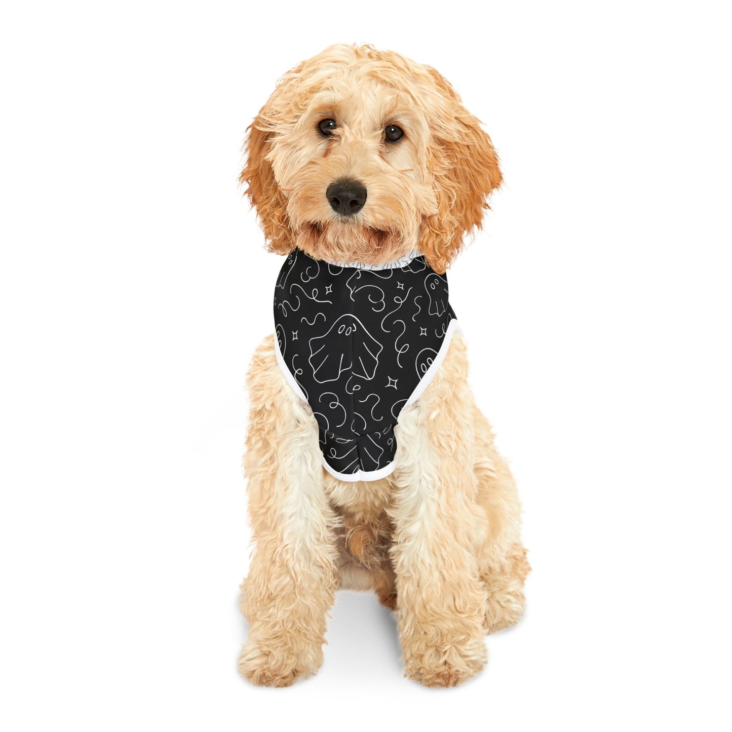Spooky Pet Hoodie for Halloween, Little Ghoul on Patrol