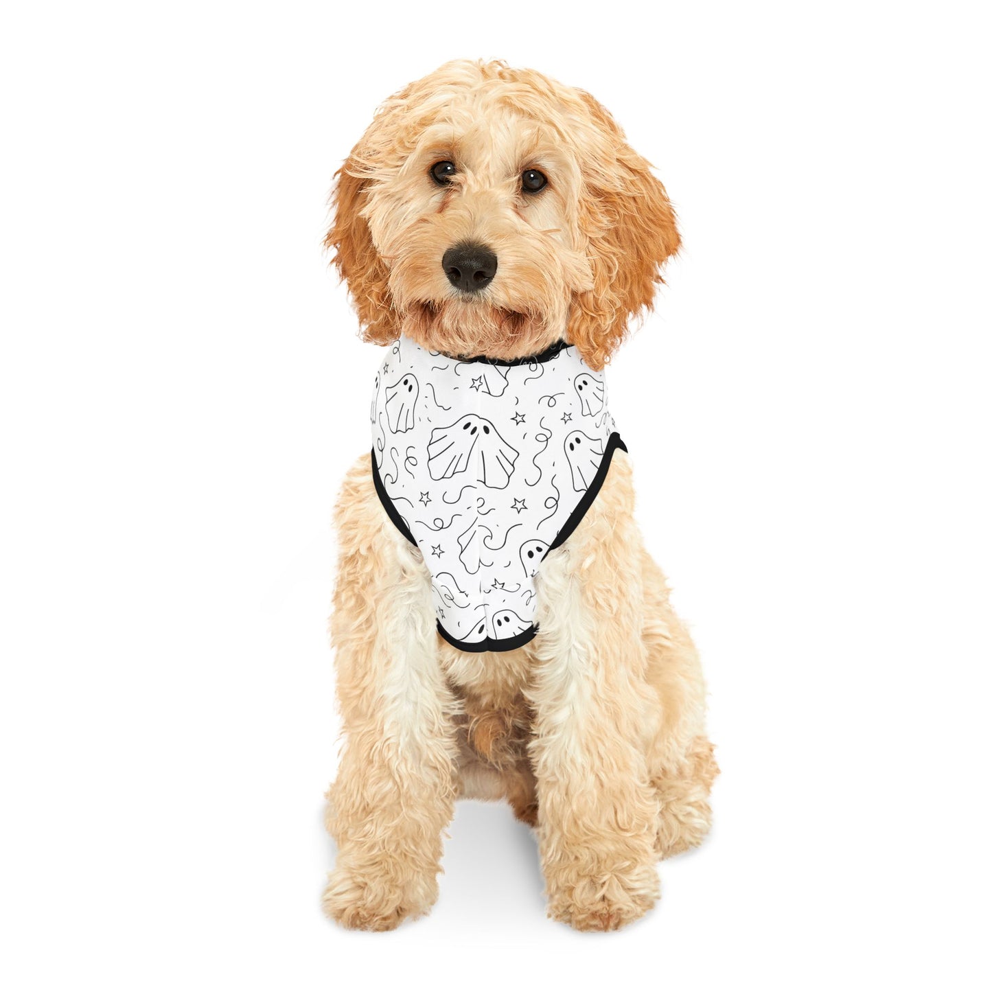 Spooky Pet Hoodie for Halloween, Little Ghoul on Patrol